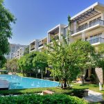 green trees near swimming pool during daytime