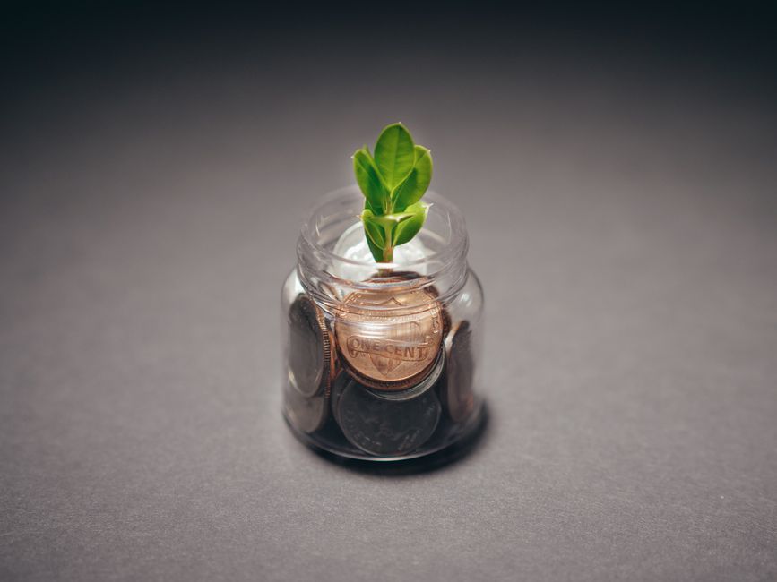 Plante qui pousse dans un bocal de pièces, symbole de croissance d'un patrimoine